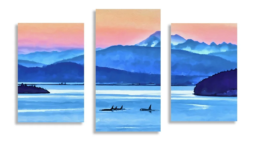orca mountain salish sea san juan island roche harbor artist - Kim